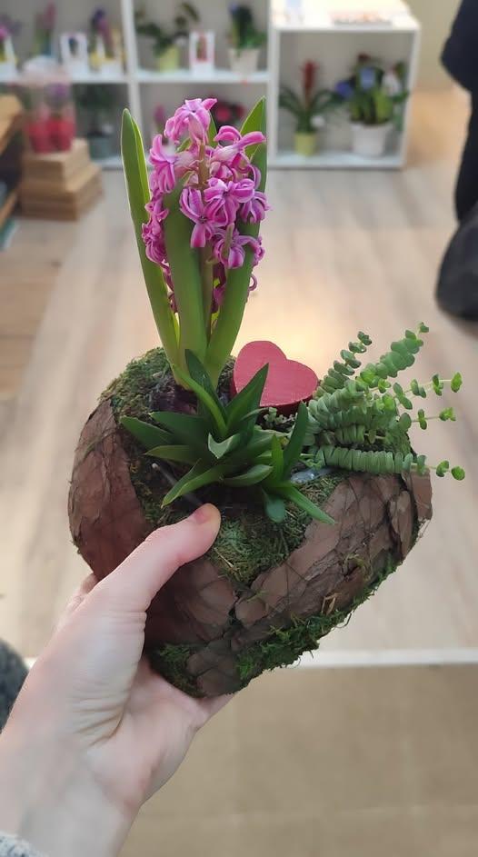 Bulbi - replanteaza sau doneaza - campanie Fleurir