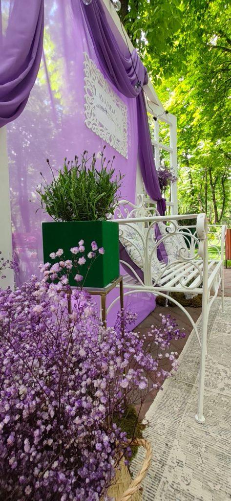 Lavanda Fest Iasi 2026